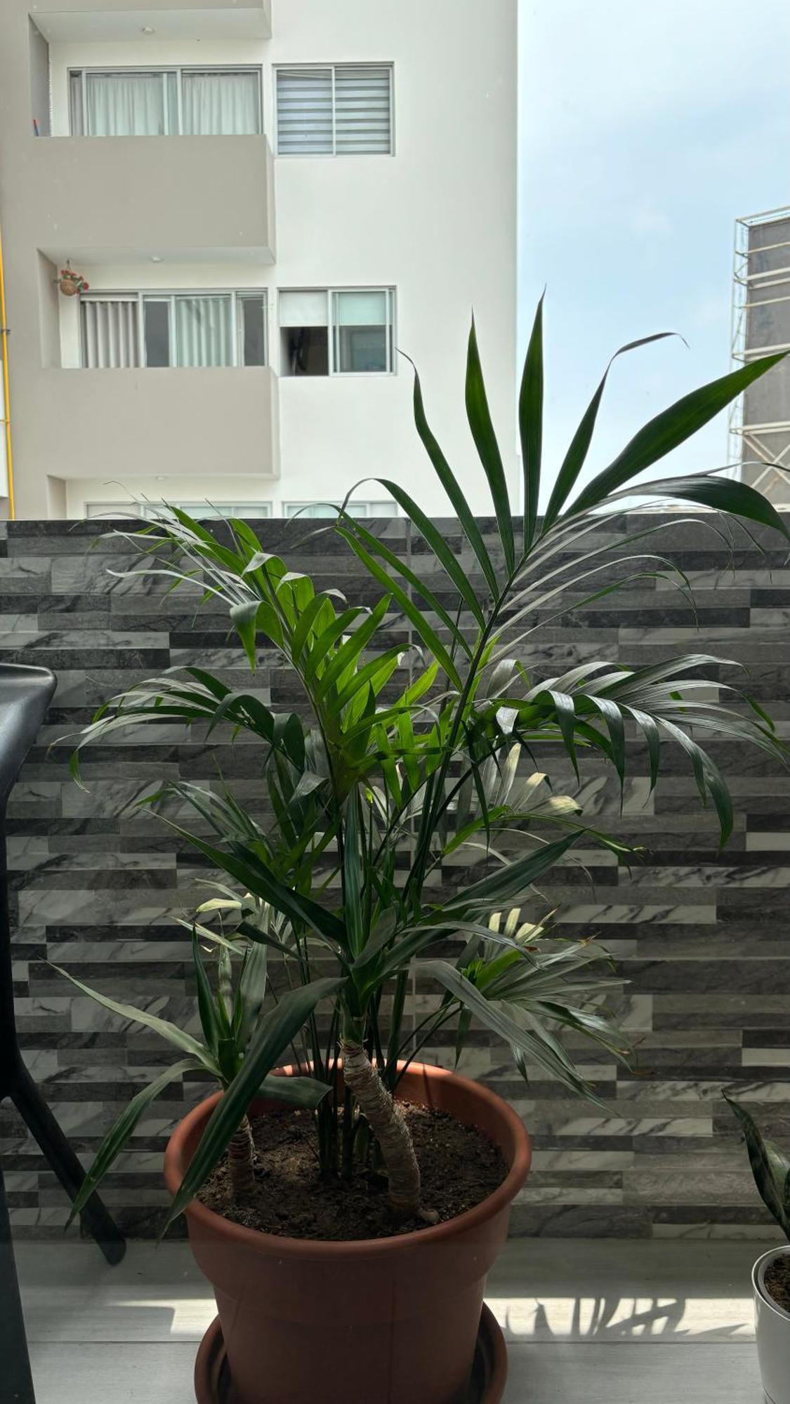 Departamento En Miraflores Con Surquillo Lima Zewnętrze zdjęcie