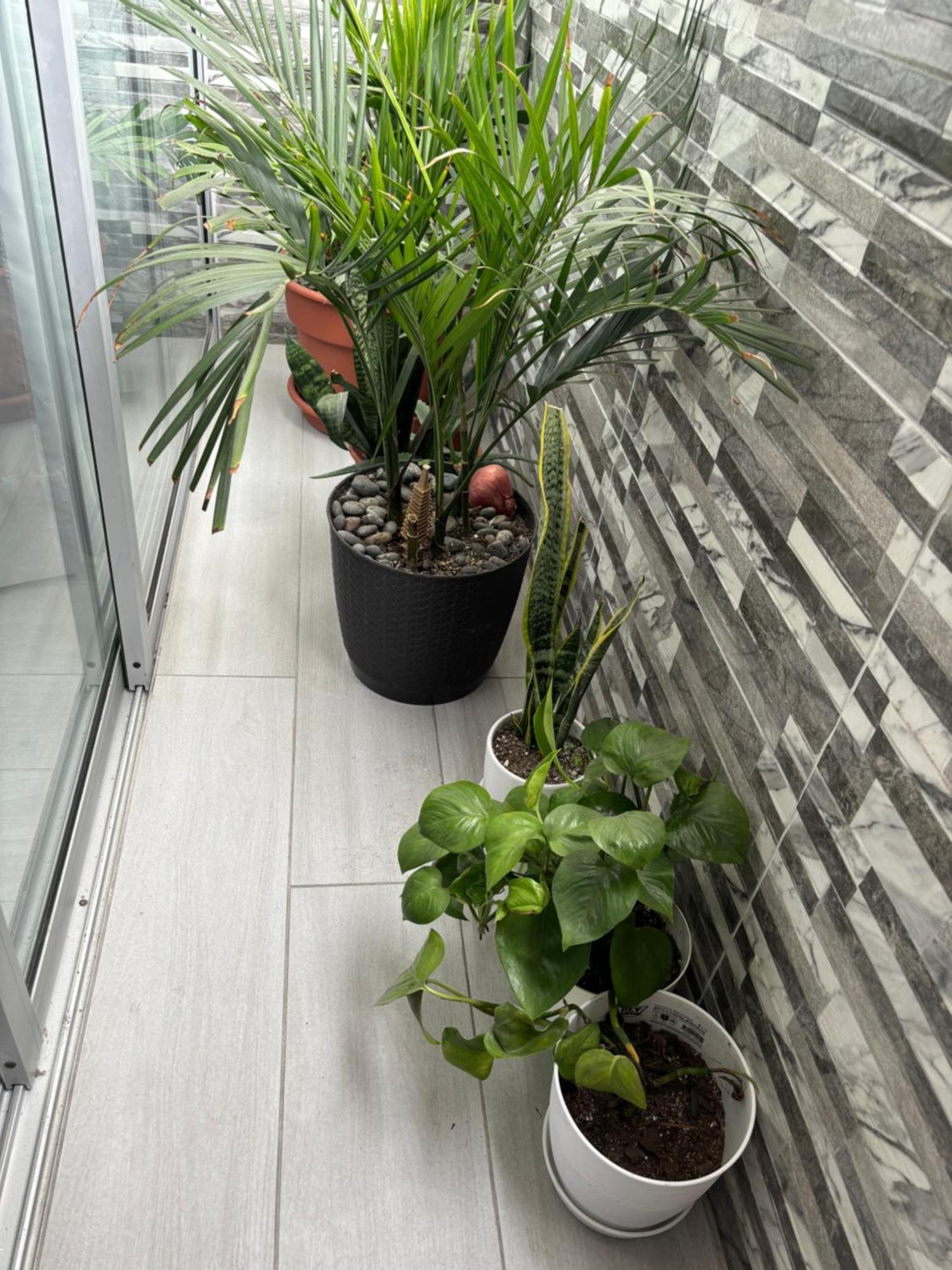 Departamento En Miraflores Con Surquillo Lima Zewnętrze zdjęcie